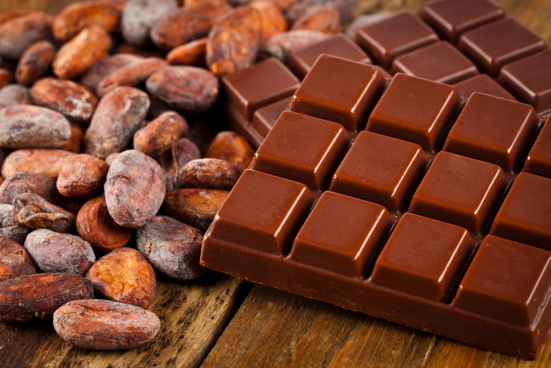El Cacao Ecuatoriano se Expande en el Mercado Internacional -